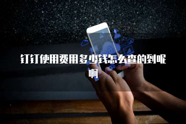 钉钉使用费用多少钱怎么查的到呢啊