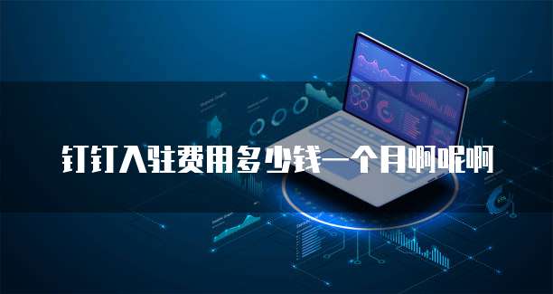 钉钉入驻费用多少钱一个月啊呢啊