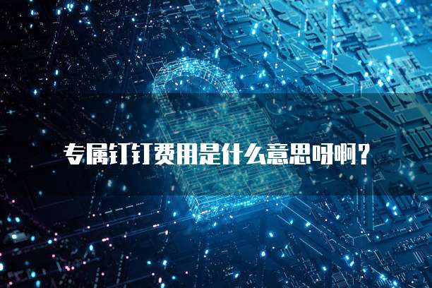 专属钉钉费用是什么意思呀啊?
