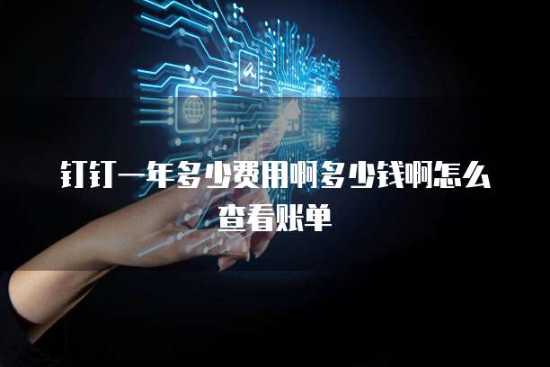钉钉一年多少费用啊多少钱啊怎么查看账单