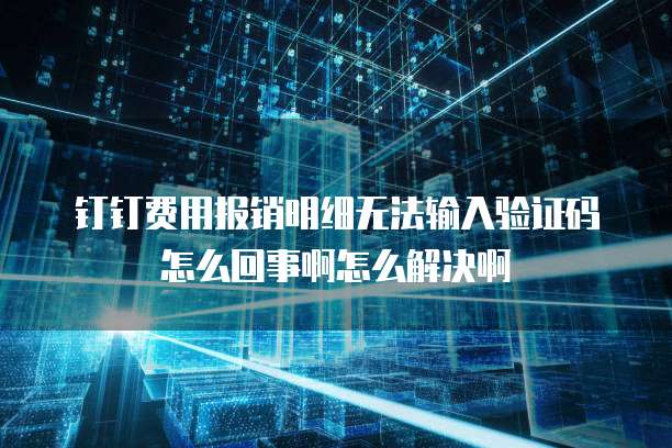 钉钉费用报销明细无法输入验证码怎么回事啊怎么解决啊
