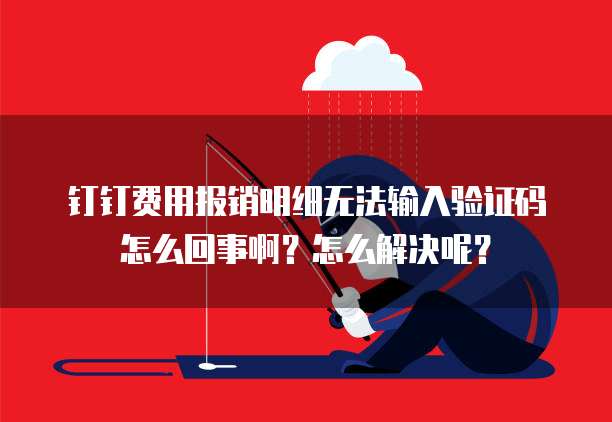 钉钉费用报销明细无法输入验证码怎么回事啊?怎么解决呢?