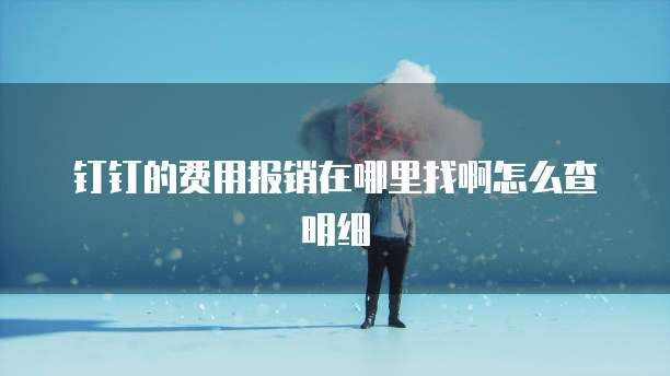 钉钉的费用报销在哪里找啊怎么查明细