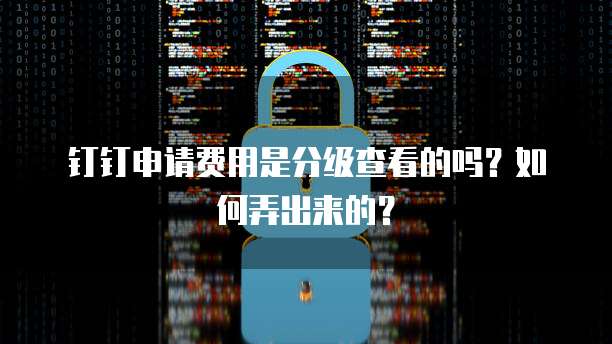 钉钉申请费用是分级查看的吗？如何弄出来的？
