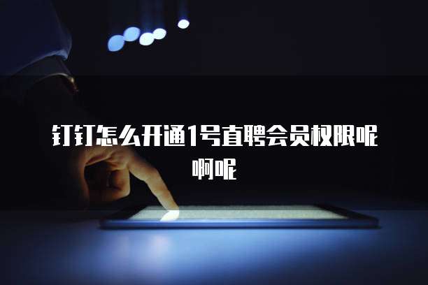 钉钉怎么开通1号直聘会员权限呢啊呢