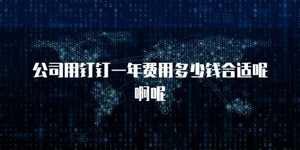 公司用钉钉一年费用多少钱合适呢啊呢