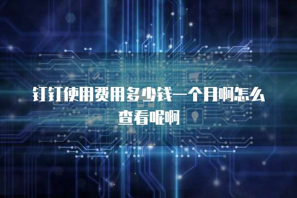 钉钉使用费用多少钱一个月啊怎么查看呢啊