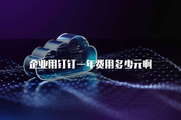 企业用钉钉一年费用多少元啊