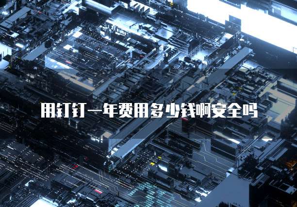 用钉钉一年费用多少钱啊安全吗