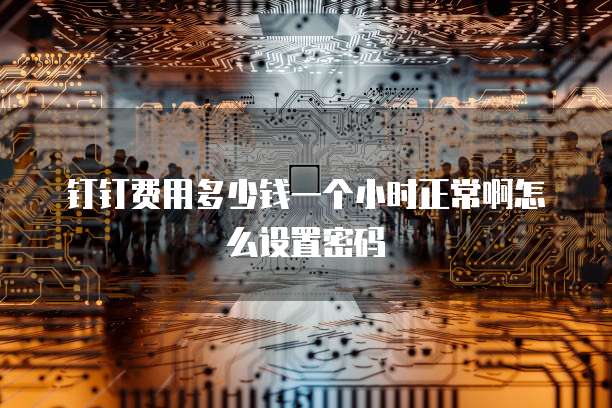 钉钉费用多少钱一个小时正常啊怎么设置密码