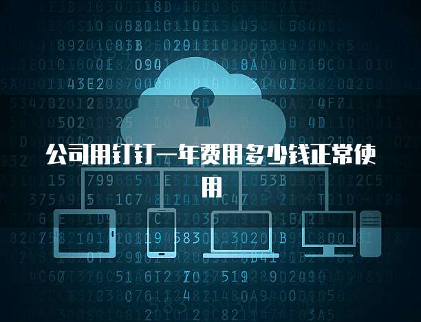 公司用钉钉一年费用多少钱正常使用