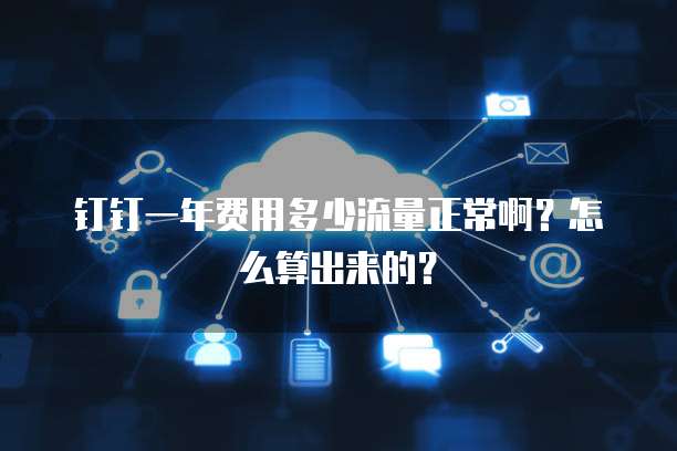 钉钉一年费用多少流量正常啊?怎么算出来的?