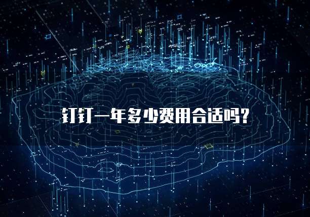 钉钉一年多少费用合适吗?