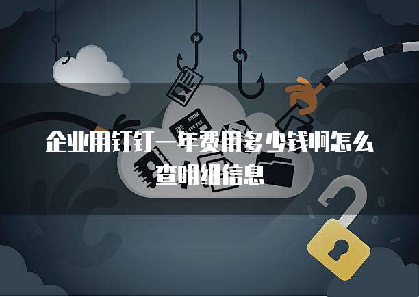企业用钉钉一年费用多少钱啊怎么查明细信息