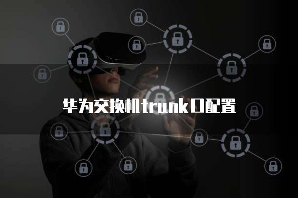 阿里云服务器租赁后,域名怎么登录?