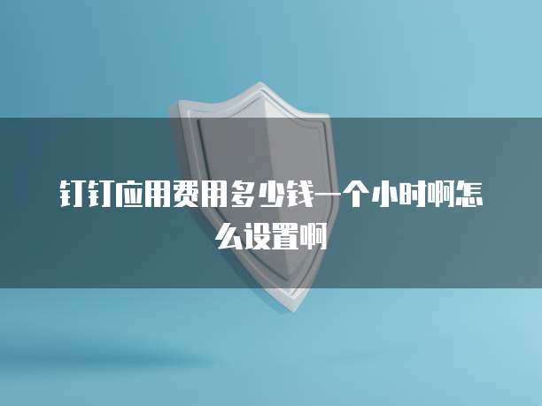 钉钉应用费用多少钱一个小时啊怎么设置啊