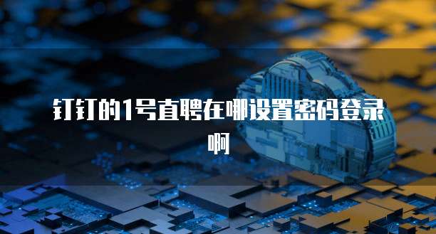 钉钉的1号直聘在哪设置密码登录啊