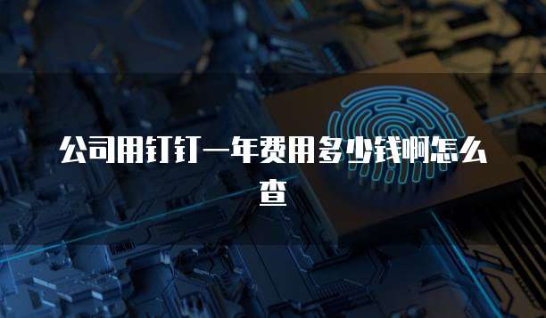 公司用钉钉一年费用多少钱啊怎么查