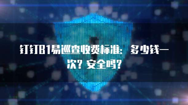 钉钉B1易巡查收费标准:多少钱一次?安全吗?