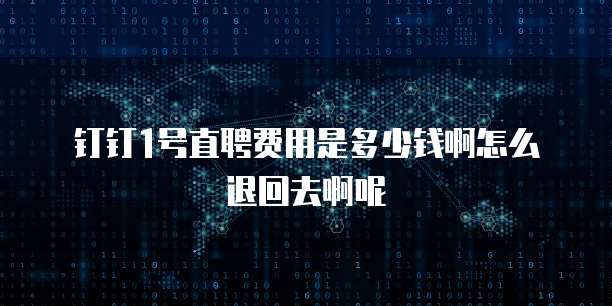 钉钉1号直聘费用是多少钱啊怎么退回去啊呢