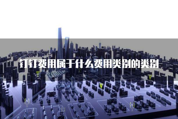 钉钉费用属于什么费用类别的类别