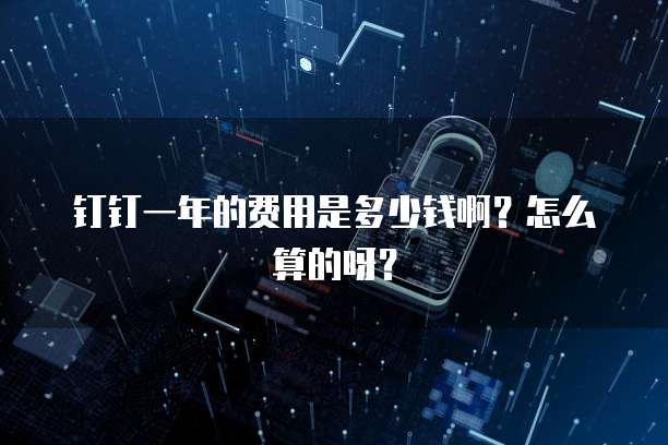 钉钉一年的费用是多少钱啊?怎么算的呀?