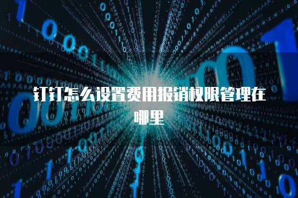 钉钉怎么设置费用报销权限管理在哪里