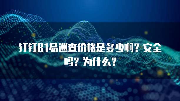 钉钉B1易巡查价格是多少啊?安全吗?为什么?