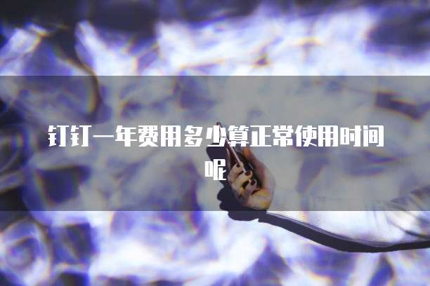钉钉一年费用多少算正常使用时间呢