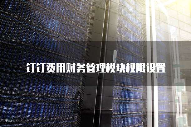 钉钉费用财务管理模块权限设置