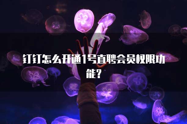 钉钉怎么开通1号直聘会员权限功能?