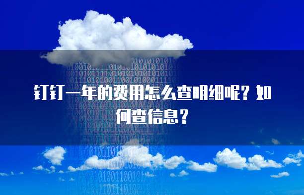 钉钉一年的费用怎么查明细呢?如何查信息?