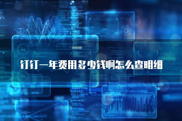 钉钉一年费用多少钱啊怎么查明细