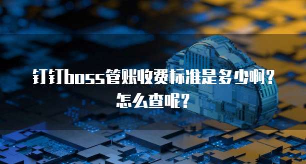 钉钉boss管账收费标准是多少啊？怎么查呢？