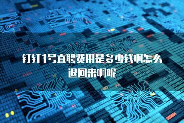 钉钉1号直聘费用是多少钱啊怎么退回来啊呢