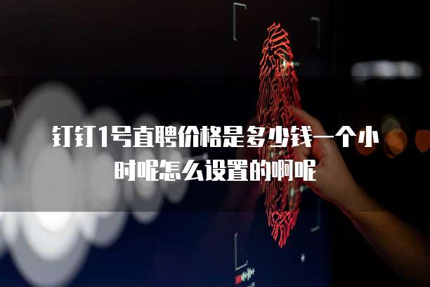钉钉1号直聘价格是多少钱一个小时呢怎么设置的啊呢