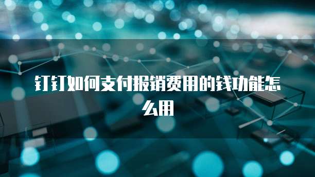 钉钉如何支付报销费用的钱功能怎么用