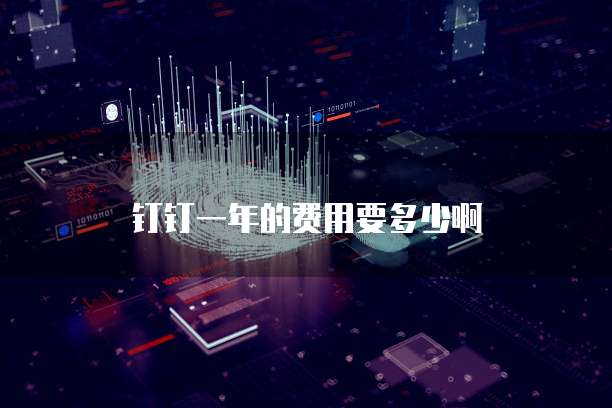 钉钉一年的费用要多少啊