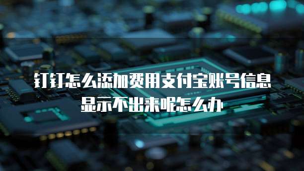 钉钉怎么添加费用支付宝账号信息显示不出来呢怎么办