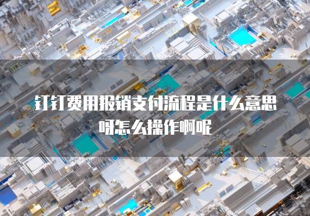 钉钉费用报销支付流程是什么意思呀怎么操作啊呢