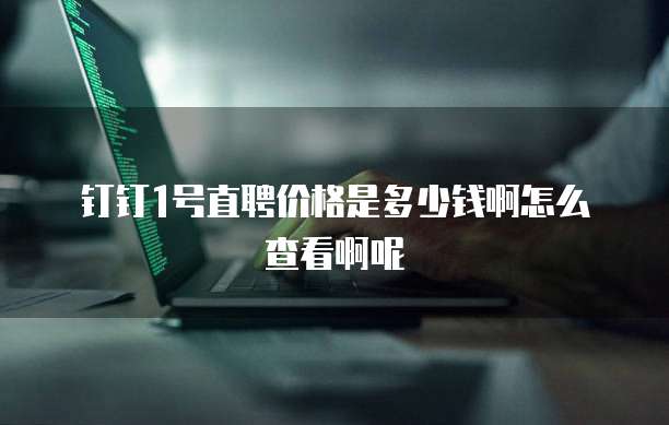 钉钉1号直聘价格是多少钱啊怎么查看啊呢