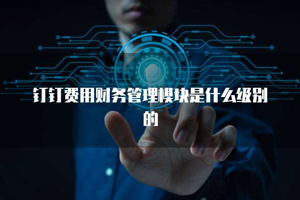 钉钉费用财务管理模块是什么级别的