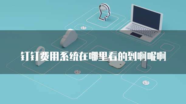 钉钉费用系统在哪里看的到啊呢啊