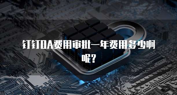 钉钉OA费用审批一年费用多少啊呢？