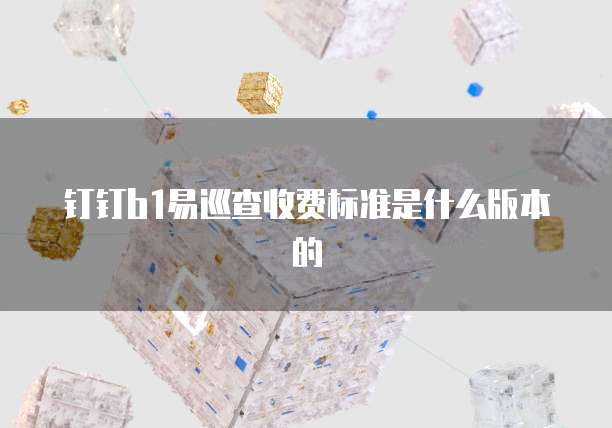 钉钉b1易巡查收费标准是什么版本的