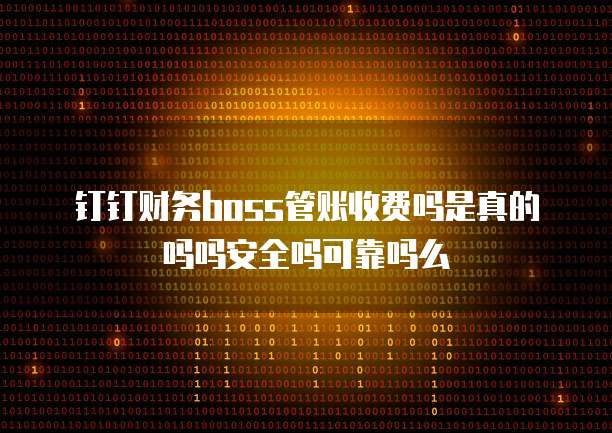 钉钉财务boss管账收费吗是真的吗吗安全吗可靠吗么