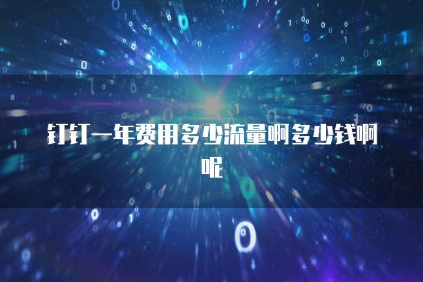 钉钉一年费用多少流量啊多少钱啊呢