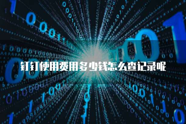 钉钉使用费用多少钱怎么查记录呢