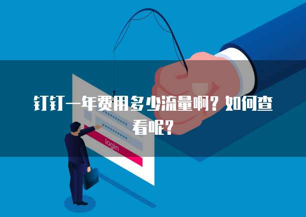 钉钉一年费用多少流量啊?如何查看呢?