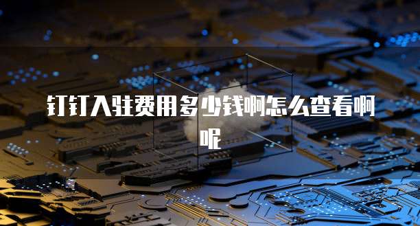 钉钉入驻费用多少钱啊怎么查看啊呢